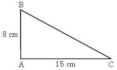 ""CBSE-Class-8-Mathematics-Squares-and-Square-Roots-Assignment-Set-A-1