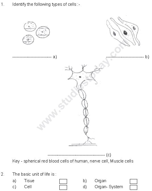 ""CBSE-Class-8-Science-Cell-Structure-And-Functions-Worksheet-Set-B