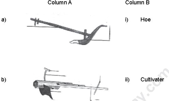 ""CBSE-Class-8-Science-Crop-Production-And-Management-Worksheet-Set-B-1