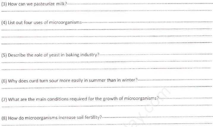 ""CBSE-Class-8-Science-Micro-Organisms-Friends-and-Foe-Assignment-Set-B