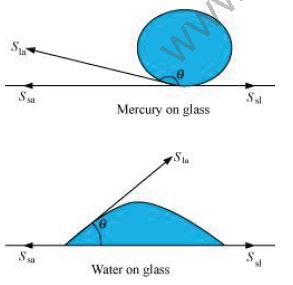 ""NCERT-Solutions-Class-11-Physics-Chapter-10-Mechanical-Properties-of-Fluids