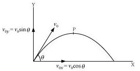 ""NCERT-Solutions-Class-11-Physics-Chapter-4-Motion-in-a-Plane-24