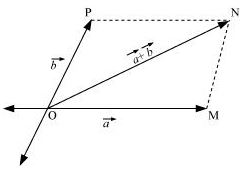 ""NCERT-Solutions-Class-11-Physics-Chapter-4-Motion-in-a-Plane