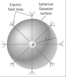 ""NCERT-Solutions-Class-12-Physics-Chapter-1-Electric-Charges-And-Fields-17