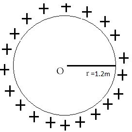 ""NCERT-Solutions-Class-12-Physics-Chapter-1-Electric-Charges-And-Fields-19