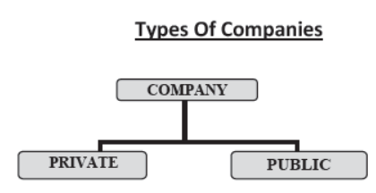 cbse-class-11-business-studies-forms-of-business -assignment-set-a