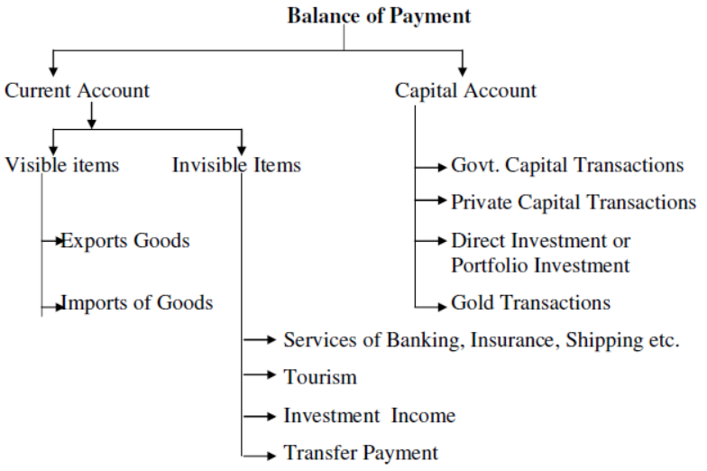 cbse-class-12-economics-balance-of-payment-worksheet
