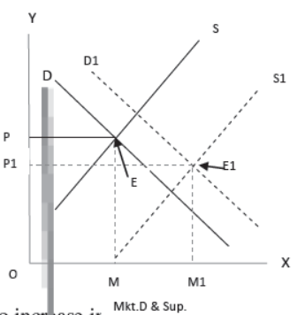 cbse-class-12-economics-determination-of-income-and-employment-assignment