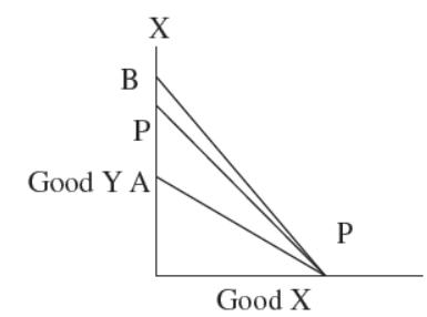 cbse-class-12-economics-introduction-assignment