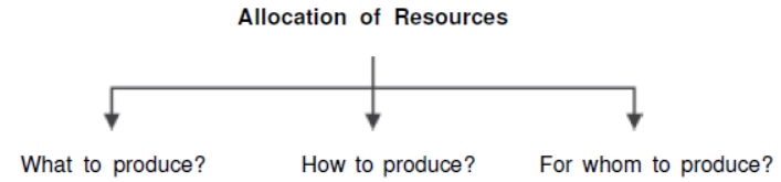 cbse-class-12-economics-introduction-assignment