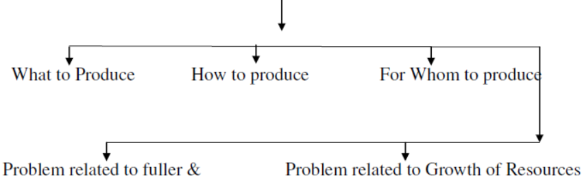 cbse-class-12-economics-introduction-assignment