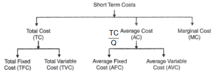 cbse-class-12-economics-producer-behavior-and-supply-assignment-set-b