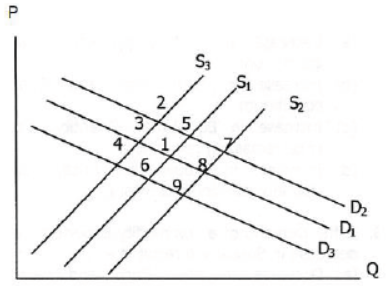 cbse-class-12-economics-revenue-supply-and-its-elasticity-worksheet