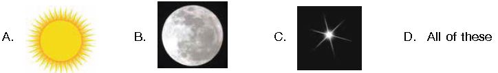 ""CBSE-Class-1-NSO-Olympiad-MCQs-with-Answers-Set-C-10