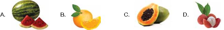 ""CBSE-Class-1-NSO-Olympiad-MCQs-with-Answers-Set-C-15