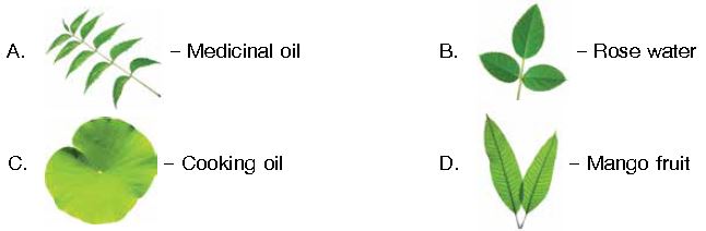 ""CBSE-Class-1-NSO-Olympiad-MCQs-with-Answers-Set-C-3