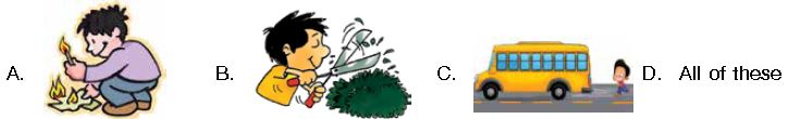 ""CBSE-Class-1-NSO-Olympiad-MCQs-with-Answers-Set-C-7