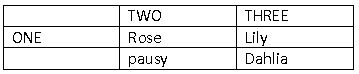 ""CBSE-Class-10-Computer-Science-Html-Advanced-tables-Lists-&-Links-14