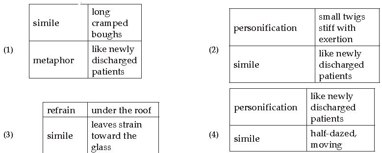 ""CBSE-Class-10-English-HOTs-The-Trees-1