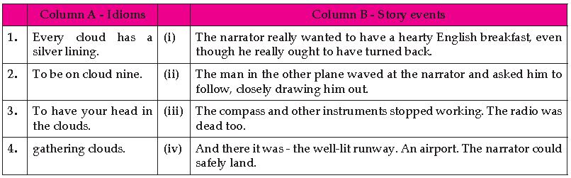 ""CBSE-Class-10-English-Two-Stories-About-Flying-II-Black-Aeroplane-Worksheet-1