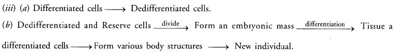 ""CBSE-Class-10-Science-How-do-humans-reproduce-Sure-Shot-Questions-B-2