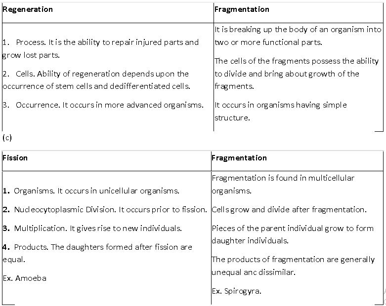 ""CBSE-Class-10-Science-How-do-humans-reproduce-Sure-Shot-Questions-B