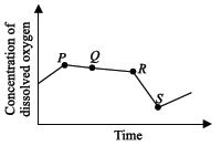 ""CBSE-Class-10-Science-NSO-Olympiad-MCQs-with-Answers-Set-A-18