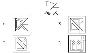 ""CBSE-Class-10-Science-NSO-Olympiad-MCQs-with-Answers-Set-C-1