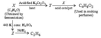 ""CBSE-Class-10-Science-NSO-Olympiad-MCQs-with-Answers-Set-C-14