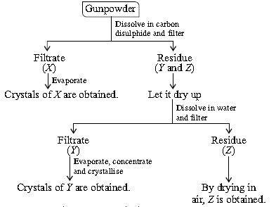 ""CBSE-Class-10-Science-NSO-Olympiad-MCQs-with-Answers-Set-C-16