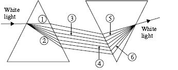 ""CBSE-Class-10-Science-NSO-Olympiad-MCQs-with-Answers-Set-C-9