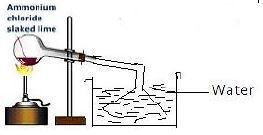 ""CBSE-Class-12-Chemistry-Ammonia-And-Phosphine-Notes-8