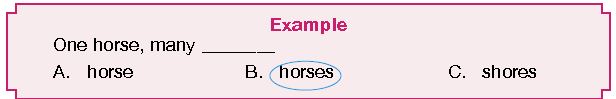 ""CBSE-Class-2-English-IEO-Olympiad-MCQs-with-Answers-Set-A-3