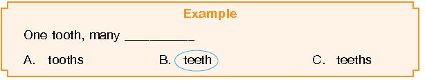 ""CBSE-Class-2-English-IEO-Olympiad-MCQs-with-Answers-Set-D-6