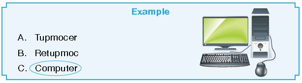 ""CBSE-Class-2-English-IEO-Olympiad-MCQs-with-Answers-Set-G-19