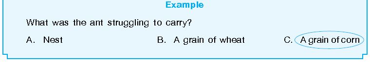 ""CBSE-Class-2-English-IEO-Olympiad-MCQs-with-Answers-Set-G-3