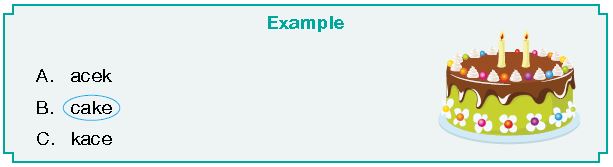 ""CBSE-Class-2-English-IEO-Olympiad-MCQs-with-Answers-Set-J