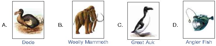 ""CBSE-Class-3-General-Knowledge-IGKO-Olympiad-MCQs-with-Answers-Set-A-3