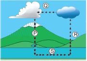 ""CBSE-Class-3-Science-NSO-Olympiad-MCQs-with-Answers-Set-A-6