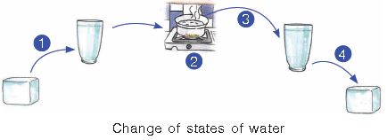 ""CBSE-Class-3-Science-NSO-Olympiad-MCQs-with-Answers-Set-B-12