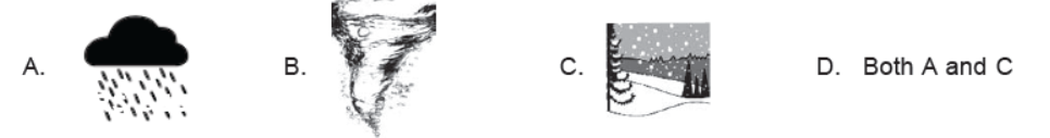 CBSE-Class-3-Science-NSO-Olympiad-MCQs-with-Answers-Set-C-17