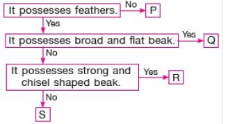 ""CBSE-Class-3-Science-NSO-Olympiad-MCQs-with-Answers-Set-F-2