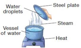 ""CBSE-Class-3-Science-NSO-Olympiad-MCQs-with-Answers-Set-G-22