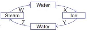 ""CBSE-Class-3-Science-NSO-Olympiad-MCQs-with-Answers-Set-G-23