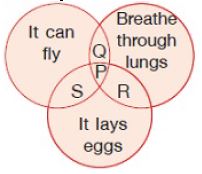 ""CBSE-Class-3-Science-NSO-Olympiad-MCQs-with-Answers-Set-G-26