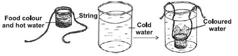 ""CBSE-Class-3-Science-NSO-Olympiad-MCQs-with-Answers-Set-I-10