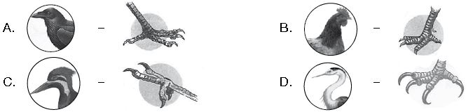 ""CBSE-Class-3-Science-NSO-Olympiad-MCQs-with-Answers-Set-L-13