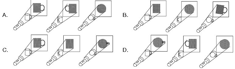 ""CBSE-Class-3-Science-NSO-Olympiad-MCQs-with-Answers-Set-L-2