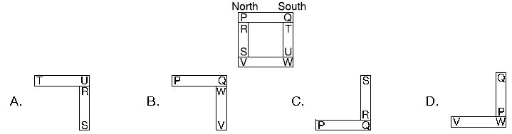 ""CBSE-Class-3-Science-NSO-Olympiad-MCQs-with-Answers-Set-L-3