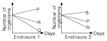 ""CBSE-Class-3-Science-NSO-Olympiad-MCQs-with-Answers-Set-M-11